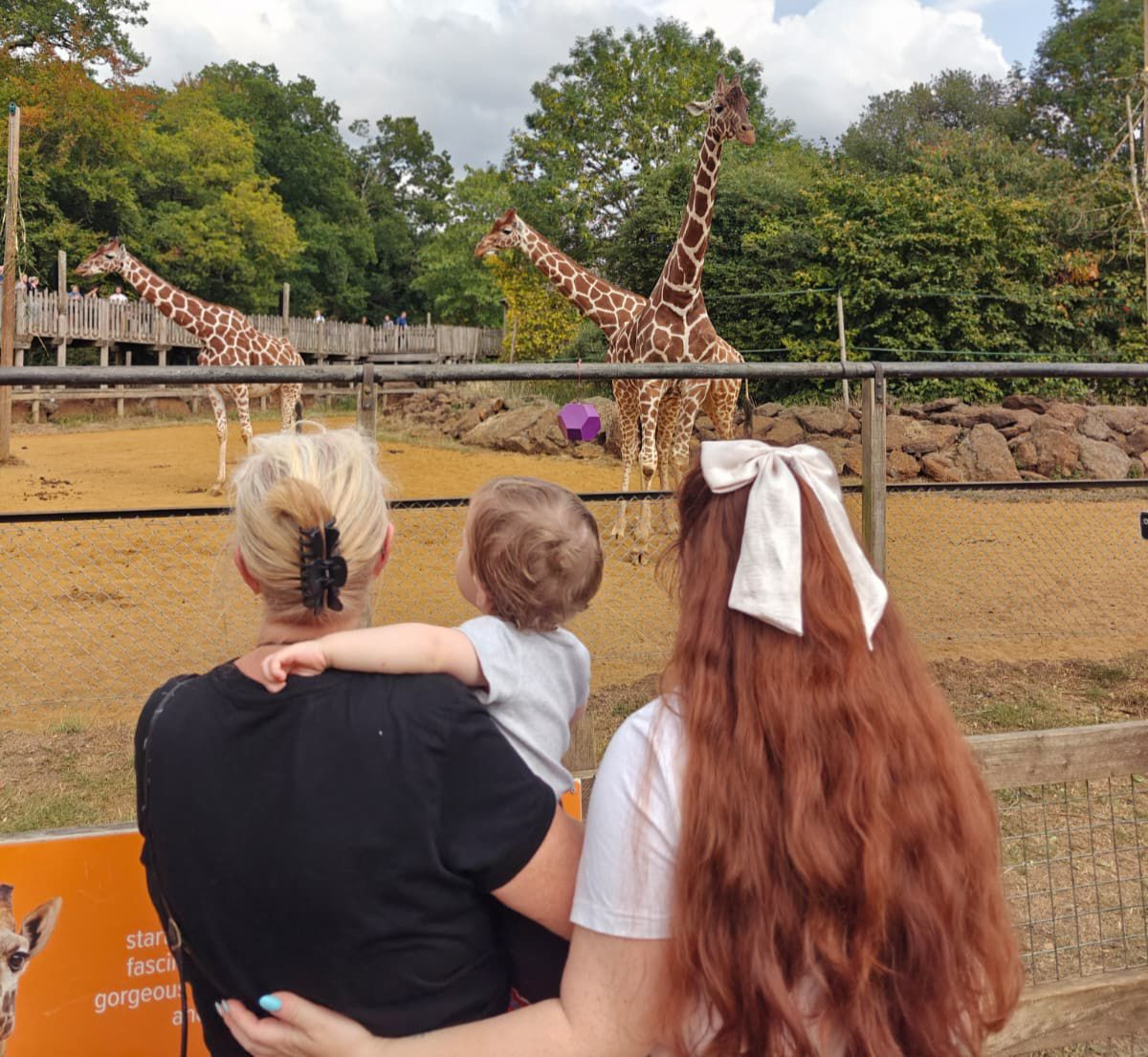 Family at the giraffe enclosure